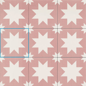 Composicion Fired Star Pink 20x20 Mainzu