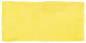 Manual Yellow brillo 7,5x15