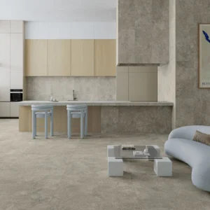 amb-STREET-SILVER-60X120-120X120